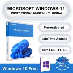 Microsoft Windows 11  64-Bit