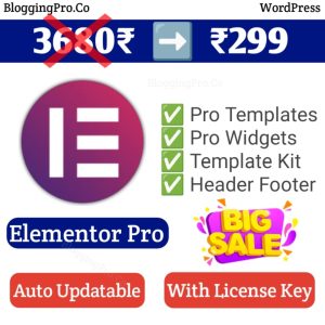 Elementor Pro