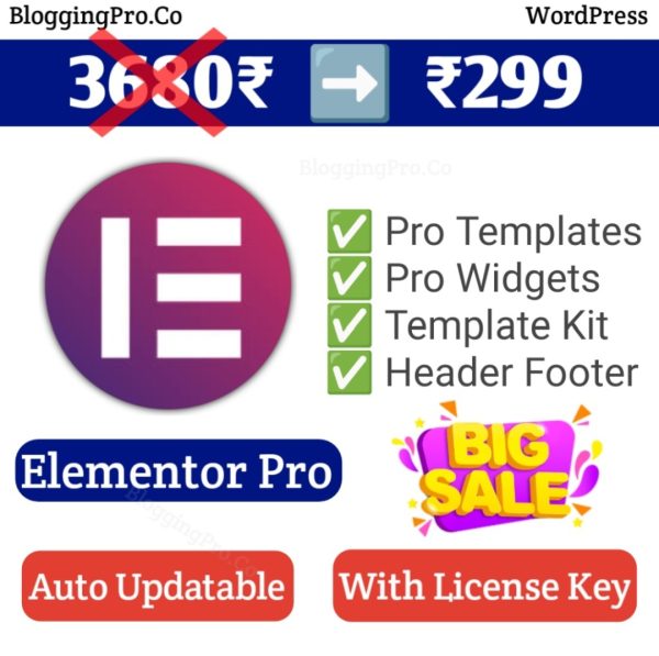 Elementor Pro